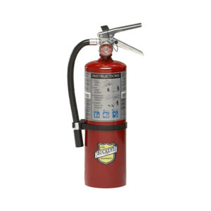 10914 Buckeye 5lb ABC Dry Chemical Fire Extinguisher with Wall Hook