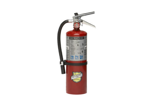 10914 Buckeye 5lb ABC Dry Chemical Fire Extinguisher with Wall Hook