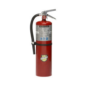 11340 Buckeye 10lb Fire Extinguisher with Wall Hook