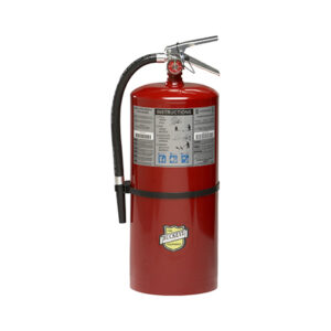 12120 Buckeye ABC Dry Chemical 20lb Fire Extinguisher with Wall Hook