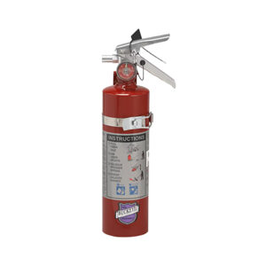 13315 Buckeye 2.5lb ABC Dry Chemical Fire Extinguisher