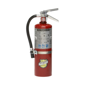 25614 BUCKEYE 5LB ABC DRY CHEMICAL FIRE EXTINGUISHER